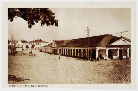 История Новогрудка и Новогрудского замка.