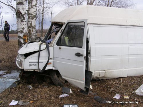 В Дрибинском районе Iveco врезался в дерево