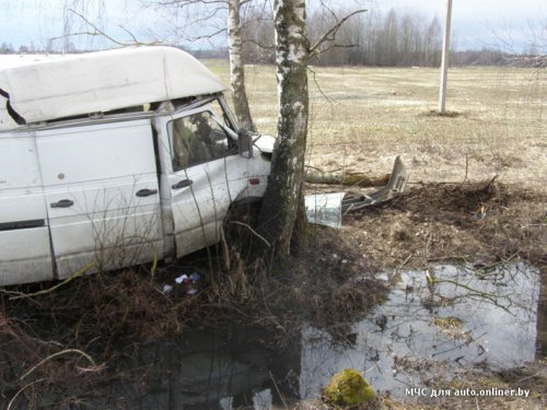 В Дрибинском районе Iveco врезался в дерево