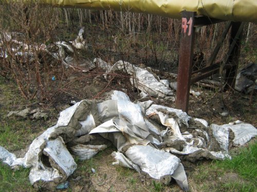 В лесопарке около санатория "Шинник" - свалка картофеля и стекловаты (фоторепортаж)