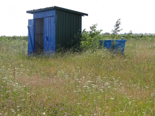 Загар на фоне…свалки