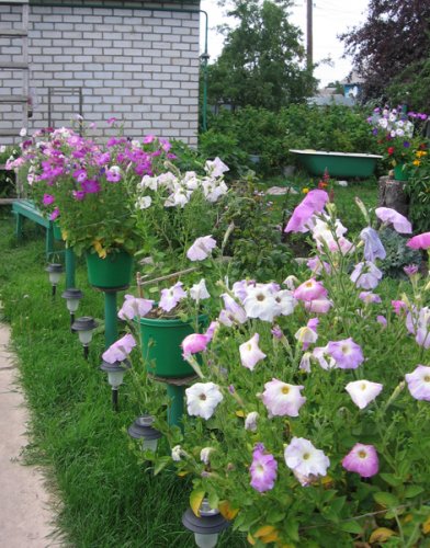 СЯДЗІБА ТУМІЛОВІЧАЎ