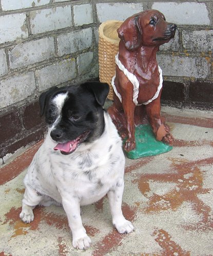 СЯДЗІБА ТУМІЛОВІЧАЎ