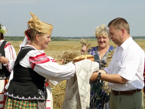 Уборочная кампания в разгаре