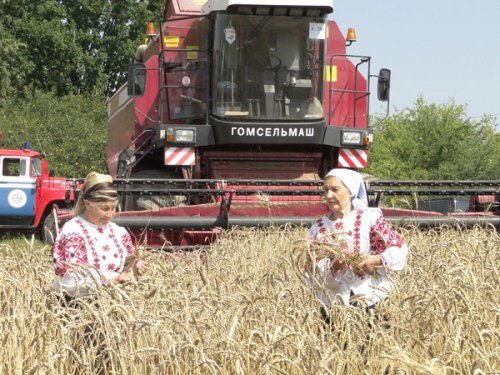 Уборочная кампания в разгаре