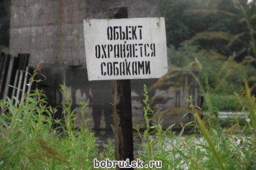 Трое сотрудников военизированной охраны убиты в Бобруйске