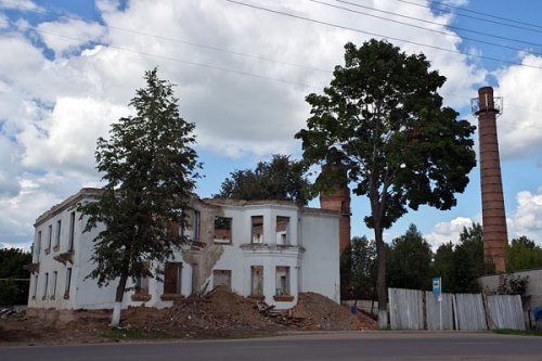 В Лиозно к «Дажынкам» срубили «пальмы» и посадили туи
