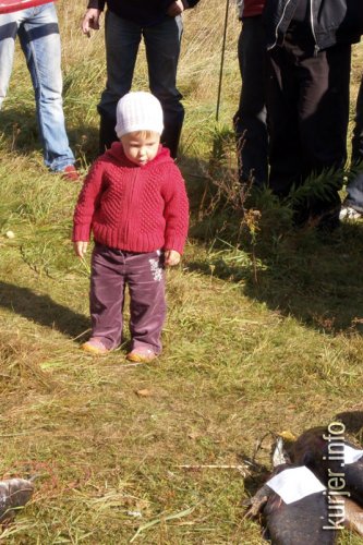 На Рудне прошёл финал Кубка Республики Беларусь по спортивной подводной охоте