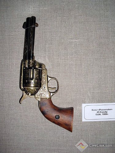 Выставка оружия (фото)