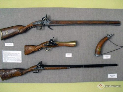 Выставка оружия (фото)