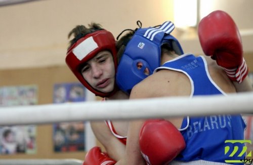 Республиканская Спартакиада по боксу прошла в Могилёве