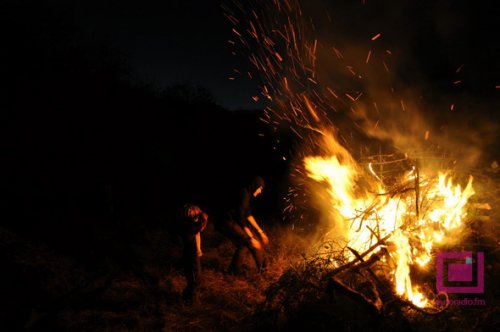В арт-деревню на Гомельщине приехали гости из пяти стран (фото)