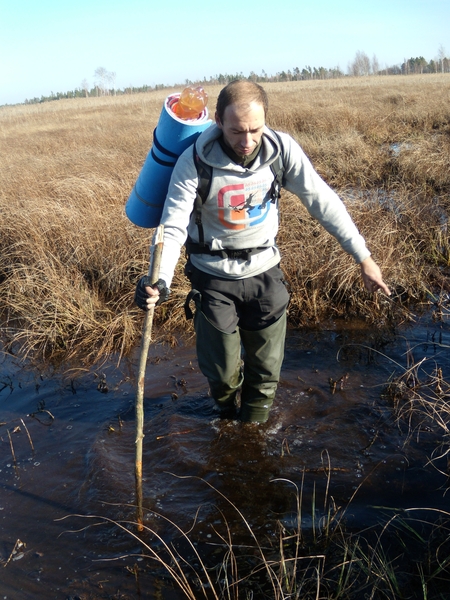 Болото экскурсии. Ольманские болота Беларусь. Поход по болотам.