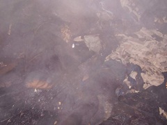 Пожар в нежилом доме по улице Советской