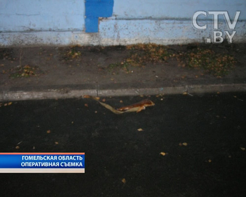 Стали известны подробности кровавой разборки в Мозыре