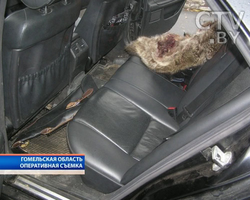 Стали известны подробности кровавой разборки в Мозыре