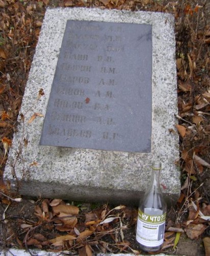 Братское кладбище в Жлобине превратилось в мусорную свалку