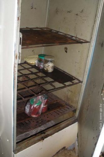 Мох на стенах и искры для… глаз (фото)