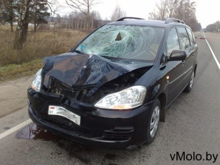 В Мороськах «Тойота» сбила пешехода