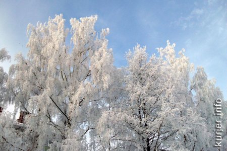 Фото-экспансия. Светлана Шумицкая — декабрь забыл, что он зимний месяц