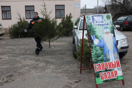 Новогодний базар пестрит разнообразием