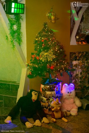 Подарим детям радость // Фотоотчёт