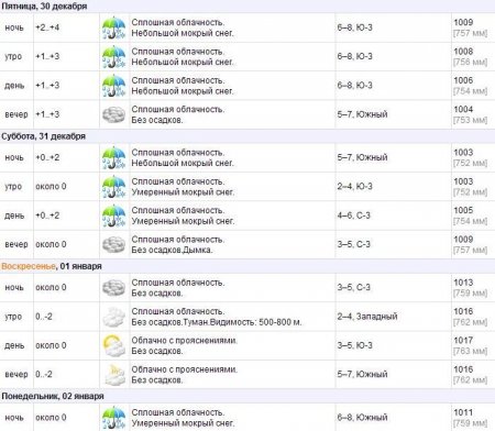 Снега в Лидском районе на Новый год не будет