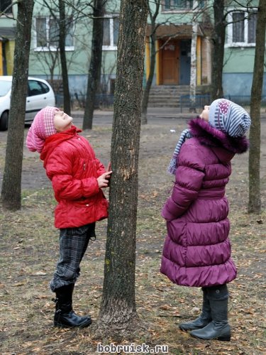 Несчастный котенок 5 дней просидел на дереве (дополнено)