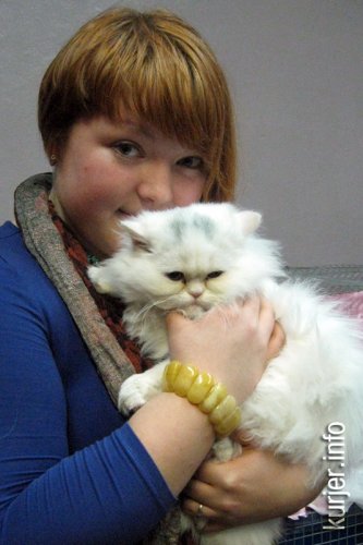 Слуцкий кот Тёма стал звездой выставки