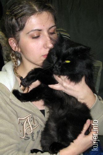 Слуцкий кот Тёма стал звездой выставки