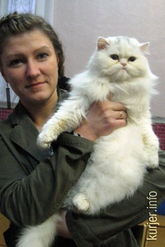 Слуцкий кот Тёма стал звездой выставки