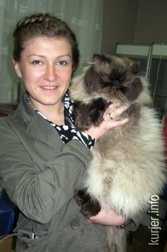 Слуцкий кот Тёма стал звездой выставки