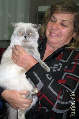 Слуцкий кот Тёма стал звездой выставки