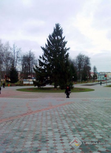 В городском парке установили елку (фото)