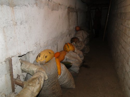 В Лиозно созданы четыре рабочие группы по проверке безопасных условий проживания жителей горпоселка