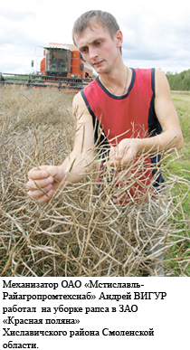 Рядом жить, торговать и хлеб убирать