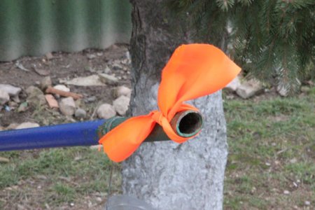 Вифлеемский огонь зажёгся в домах