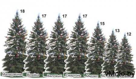 В Молодечно самая высокая елка по району
