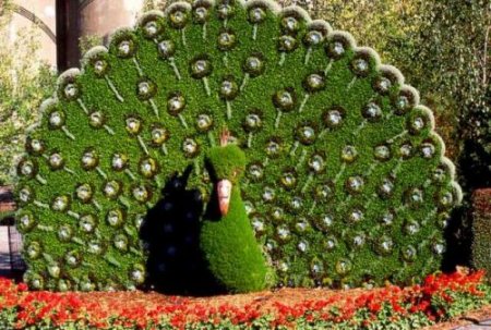 Собираем идеи для любимого города