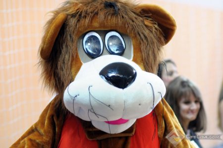 Финал Кубка Беларуси по мини-футболу выиграл МАПИД ...