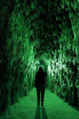 В Японии открылся Снежный фестиваль (ФОТО)