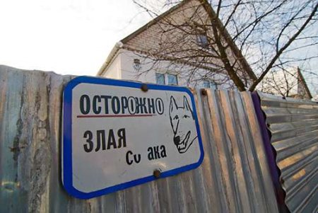 Как задерживали самогонщиков в Молодечно и на Мядельщине (ФОТО)