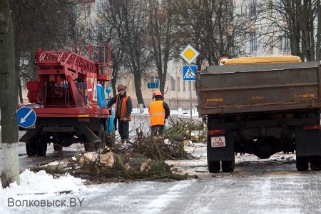 На Ленина пилят деревья