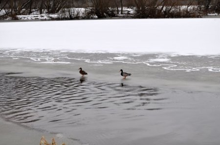 Ад вады не будзе бяды