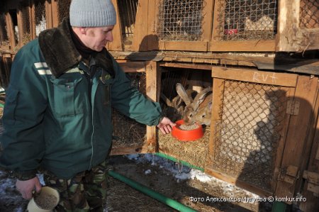 Воспитанники Центра юных натуралистов Бобруйска живут интересно