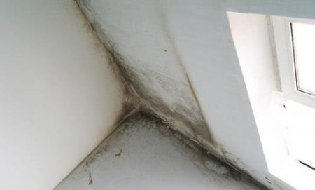 Кто в ответе за «социальный дом» в Горках?