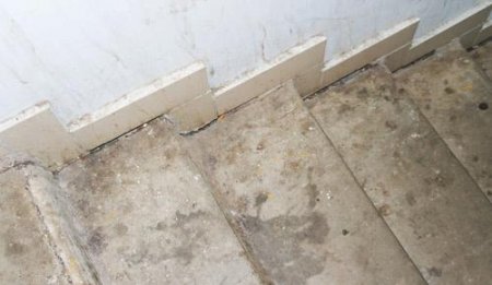 Кто в ответе за «социальный дом» в Горках?