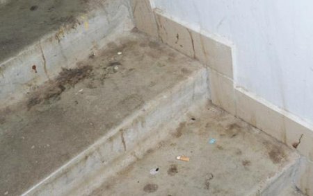 Кто в ответе за «социальный дом» в Горках?