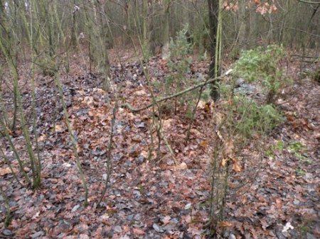 Подросток из Пинска 40 дней прожил в землянке, питаясь тем, что наворовал у дачников