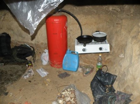 Подросток из Пинска 40 дней прожил в землянке, питаясь тем, что наворовал у дачников